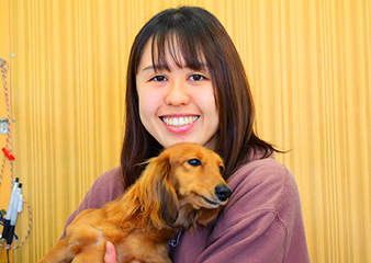 トリマー・アドバイザー